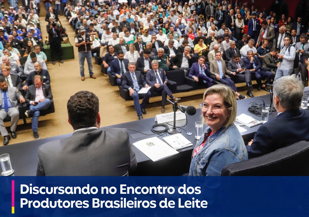 Destaque 7
