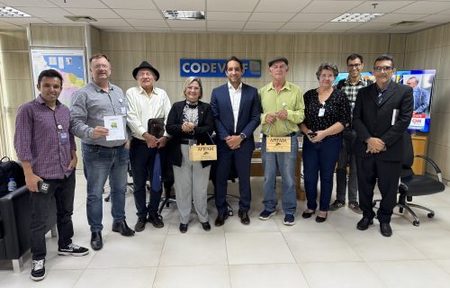 ana paula leão - apicultura