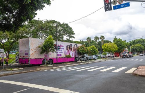 55013444392_1f437f0a72_k