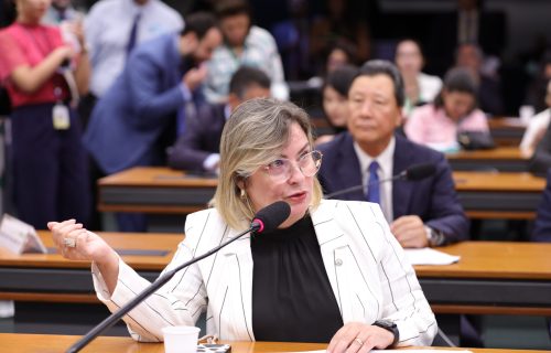 Ana Paula Leão apresenta requerimentos na Comissão de Agricultura para esclarecimentos contra a importação desleal de leite