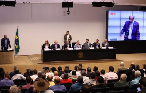 Ana Paula Leão conduz audiência que reforça a pressão por medidas imediatas para o leite brasileiro