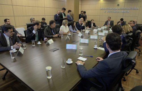 Ana Paula Leão participa de reunião com ministro da Agricultura para definir pautas da COP-30