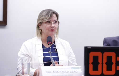 Audiência Pública conduzida por Ana Paula Leão debate deficiência na prestação de serviço da CEMIG