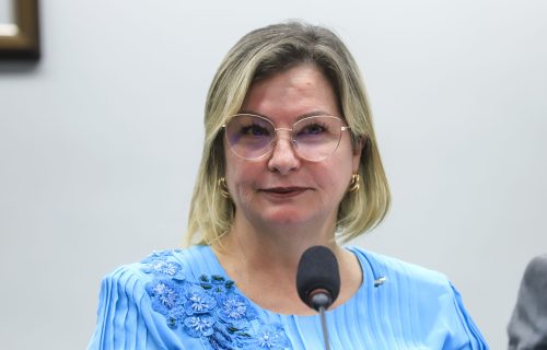 Audiência pública conduzida por Ana Paula Leão debate impactos do acordo Mercosul na produção nacional de leite.2