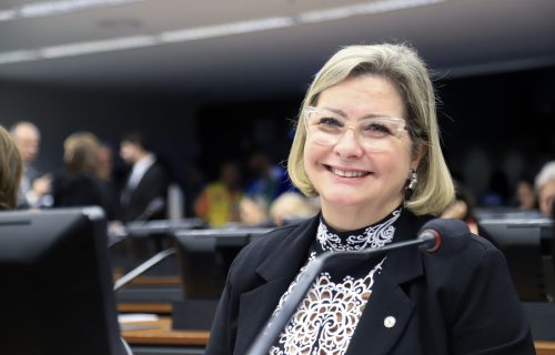 Câmara aprova na CCJ projeto da deputada Ana Paula Leão que cria a Semana Nacional “Direito a Ter Pai”