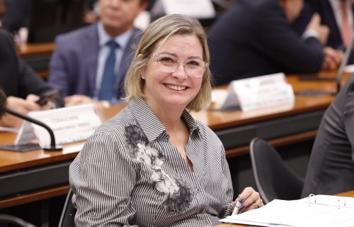 Câmara dos Deputados aprova urgência de projeto que proíbe uso do termo leite e seus derivados em produtos vegetais