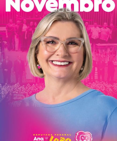 Capa Resumo Novembro