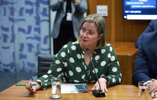Deputada Ana Paula Junqueira Leão é membro titular da Comissão Mista sobre reestruturação do novo governo