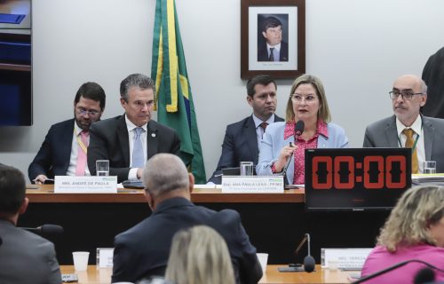 Deputada Ana Paula Junqueira Leão preside reunião da Comissão de Agricultura com presença do ministro da Pesca