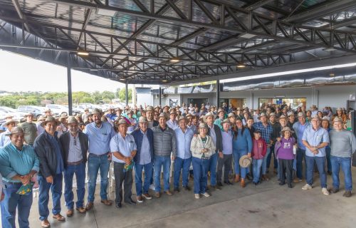 Deputada Ana Paula Leão celebra o Dia Nacional do Produtor de Leite e lança espaço inédito no Camaru 2025 (1)