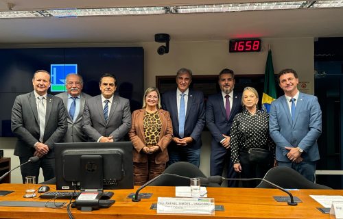 Deputada Ana Paula Leão é eleita relatora da Subcomissão do Leite