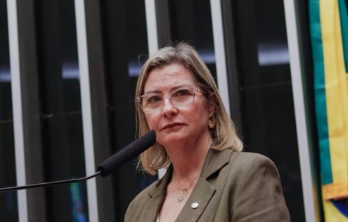 Deputada Ana Paula Leão integra comissão que acompanhará impactos das chuvas na Zona da Mata mineira