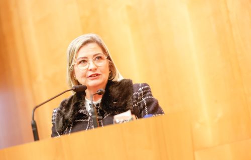 Deputada Ana Paula Leão propõe programa nacional para fortalecer a proteção contra a violência doméstica