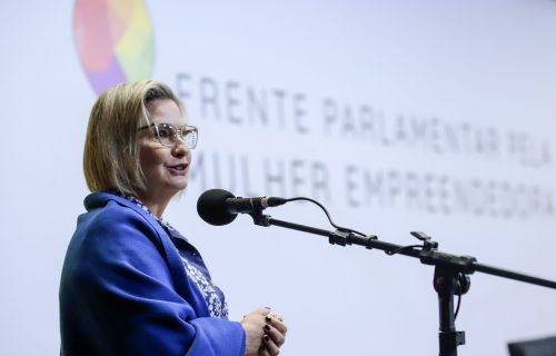 Deputada é coordenadora temática da mulher do campo em Frente Parlamentar Mista pela Mulher Empreendedora (2)