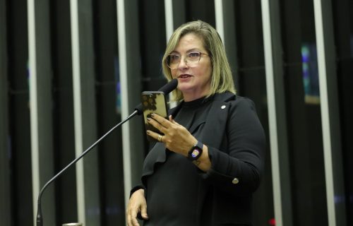 Dia Mundial da Agricultura é comemorado com sessão solene na Câmara dos Deputados (2)