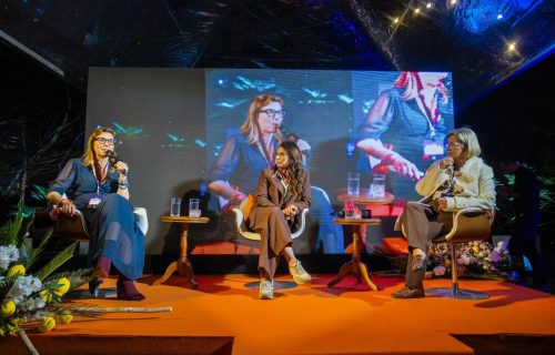 Liderança Feminina e Força do Agro Deputada Ana Paula Leão defende liberdade para o setor trabalhar (1)
