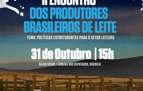 WhatsApp Image 2023-10-21 at 12.00.44