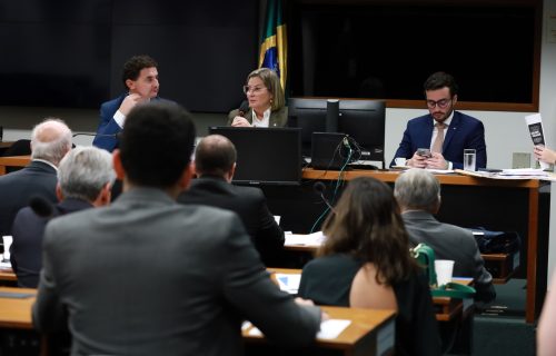 deputada-federal-ana-paula-leo-mg_52923409929_o_Easy-Resize.com