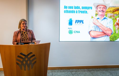 foto para o site