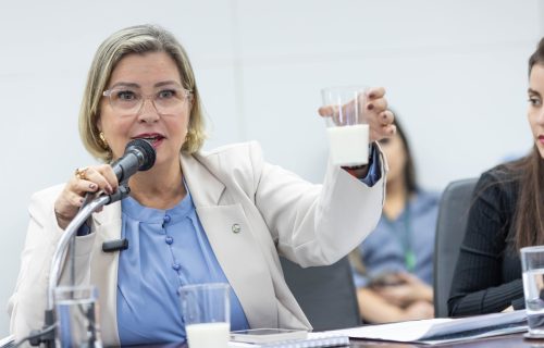 reunio-no-mdic-antidumping_54719275248_o